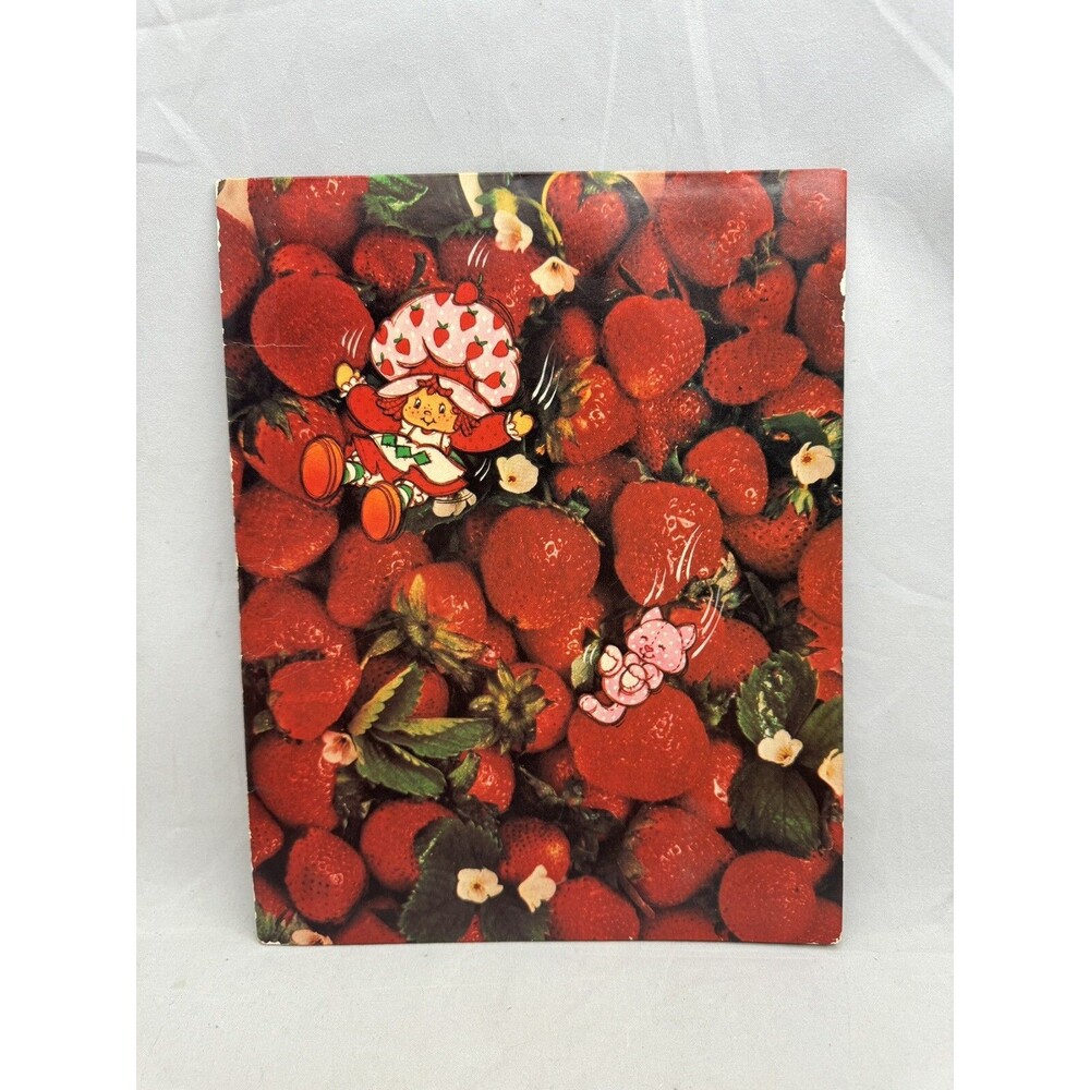 Nifty St Regis Strawberry Shortcake 2 Pocket Folder 1980 American Greeting